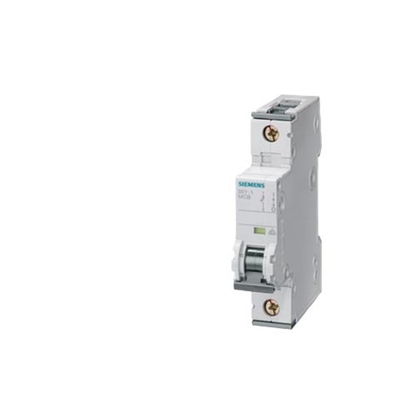 Siemens 5SY6216-7CC Disjoncteur de distribution basse tension 6kA 2P C Découpling 16A