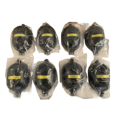 Accumulateur de diaphragme professionnel ZPFDC210-2A avec options standard ou non standard